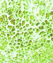 Мозаика Glorex-Crackle mosaic, лист 15x20 см, цвет 07 светло-зеленый