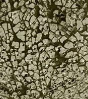 Мозаика Glorex-Crackle mosaic, лист 15x20 см, цвет 14 прозр серый